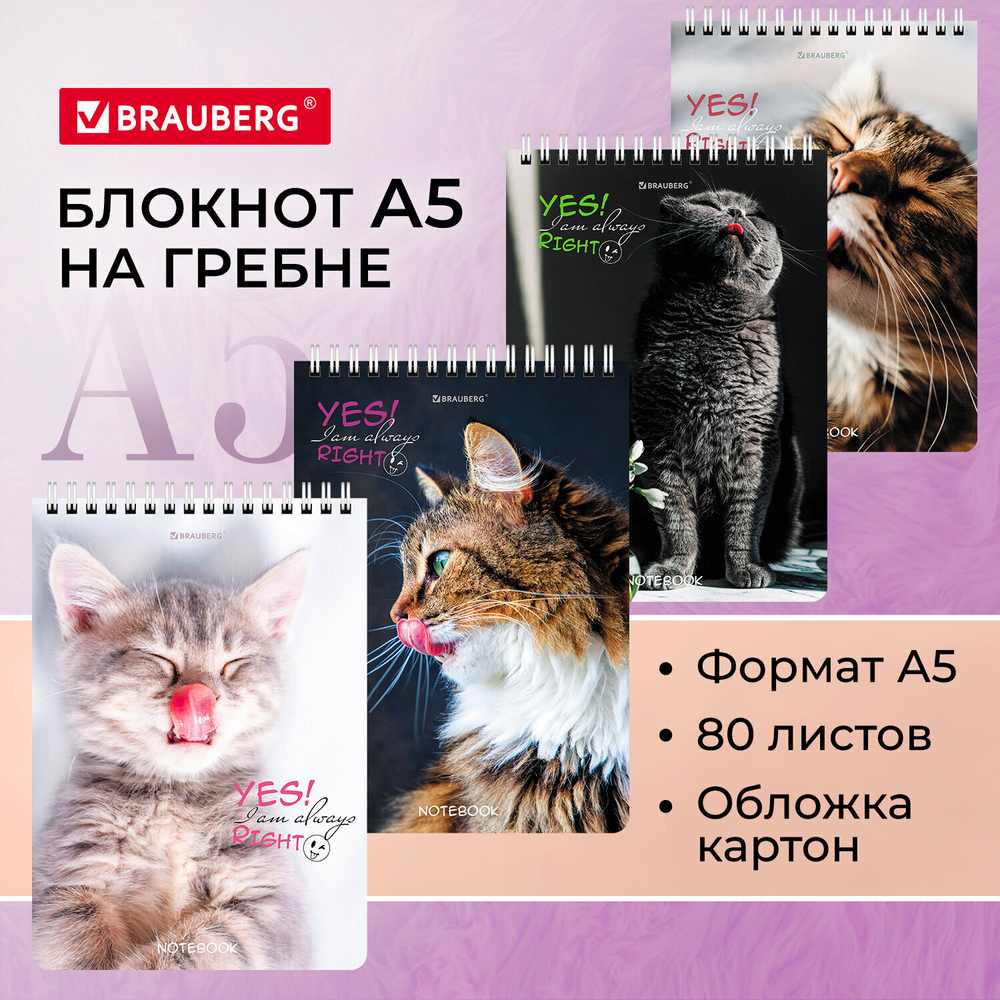 Блокнот А5 (146х206 мм) 80 л. гребень картон клетка BRAUBERG "Довольные коты" (12 штук в упаковке)