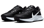 Кроссовки Nike Pegasus Trail 3 (Женская размерная сетка)
