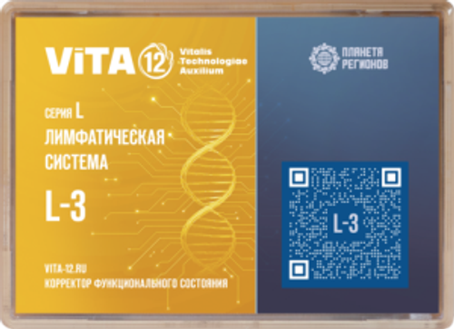 КФС 12 Элементов L-3 серии "Лимфатическая система"