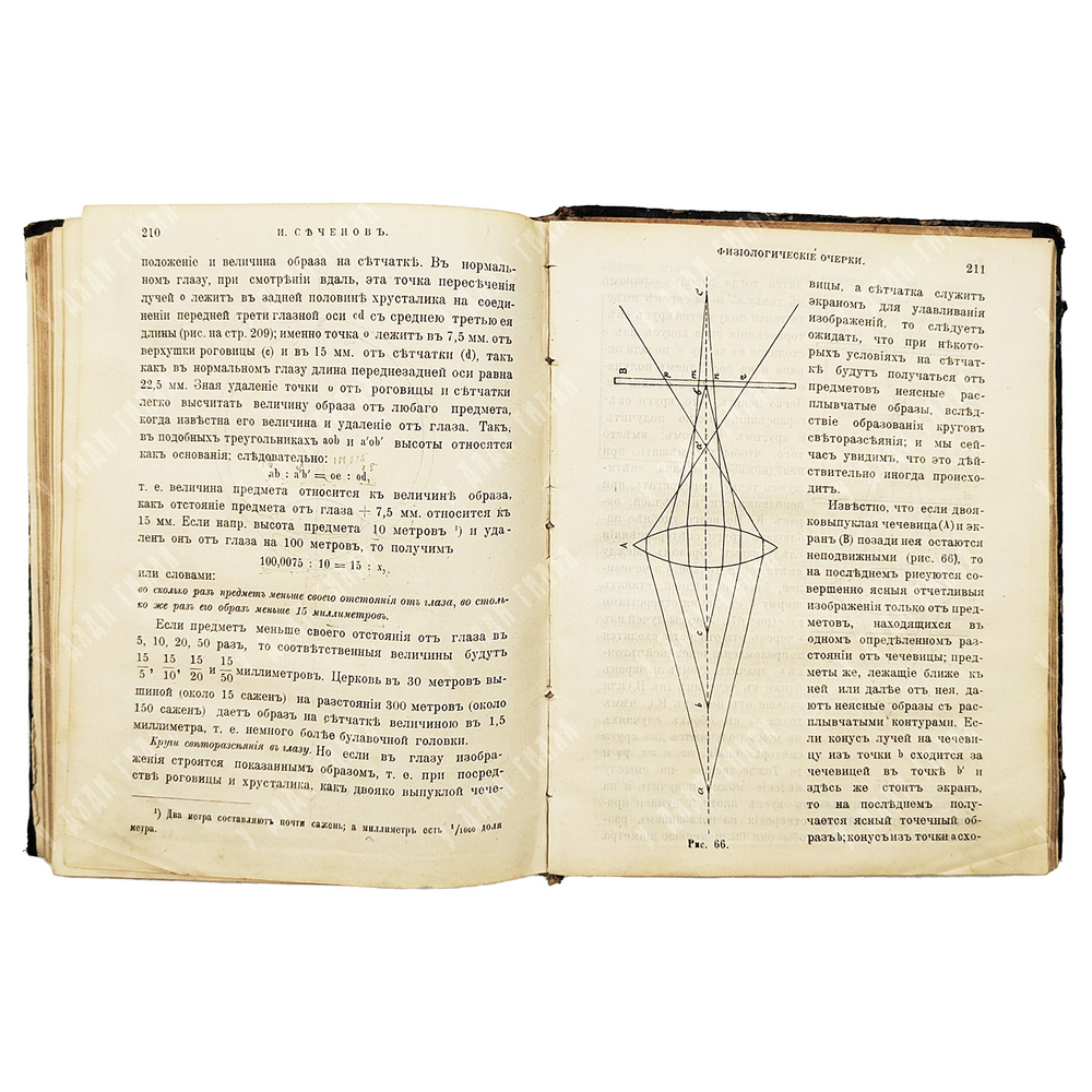Сеченов И. М. Физиологические очерки. Конволют в 2.ч. № 8, № 9. СПб. Издание О. Н. Поповой. 1898
