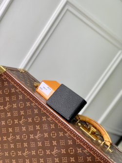 Louis Vuitton Multiple Wallet
