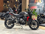 Triumph Trident 660 Gray