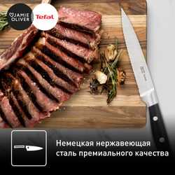 Набор ножей для стейка Tefal 4 предмета Jamie Oliver 12 cм K2670849