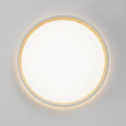 Citilux ETALON CL750240 LED Светильник с подсветкой Белый+Бук