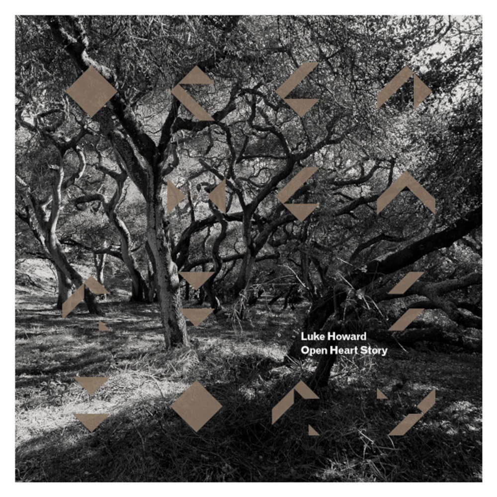 Luke Howard / Open Heart Story (LP)