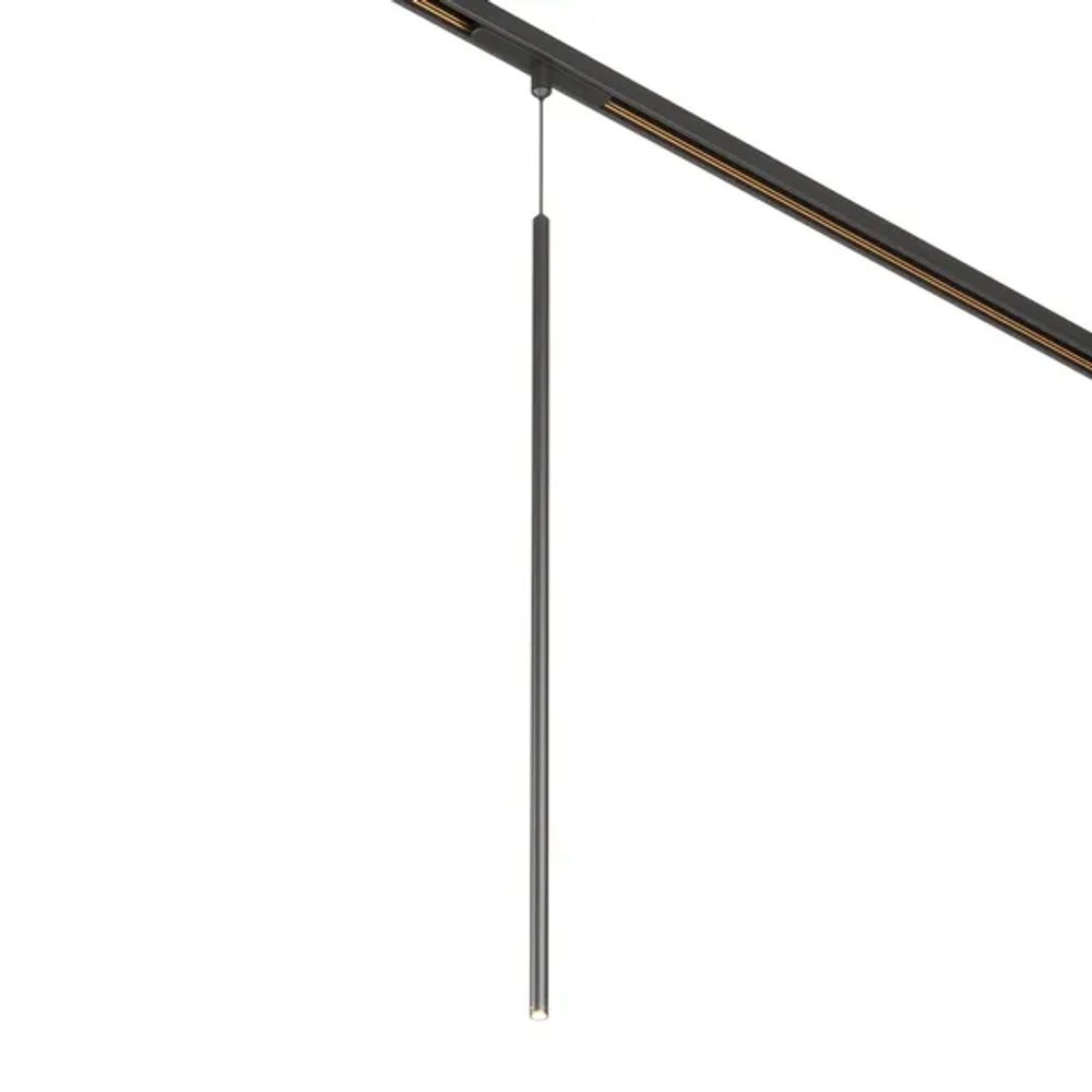 Светильник MAG-ORIENT-SPOT-HANG-L600-R12-2W Warm3000 (BK, 20 deg, 48V) (Arlight, IP20 Металл, 5 лет) 044502