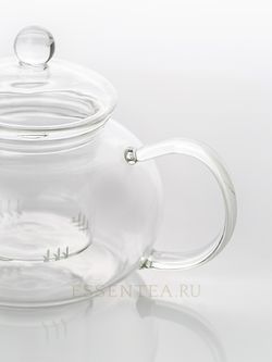 чайник стеклянный с колбой