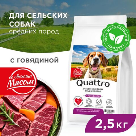 Корм сухой для взрослых собак средних пород, премиум полнорационный комплекс, для живущих в сельской местности, с говядиной, 2,5 кг, QUATTRO