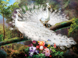 Коллекция Paradise