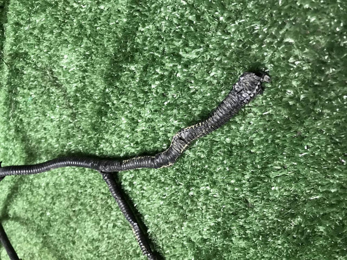 Проводка заднего бампера Seres M5 (2022-н.в.)