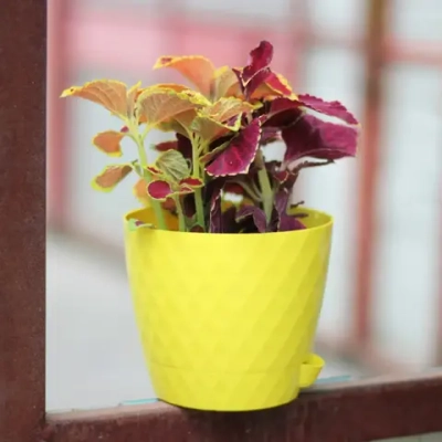 Горшок для цветов пластиковый 1,5л d-14см «Румба» с поддоном лимон
