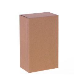 GAEM Конфетница "Санта", 2, 2550 мл, L28 W18 H24 см