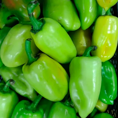 Sweet 'n' Hot Red Pepper Jam Stuffed peppers, Spicy recipes, Stuffed hot peppers