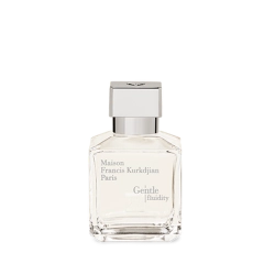 Парфюмерная вода Gentle fluidity silver