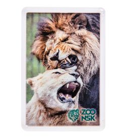 МТ- 001/01 Магнит «Новосибирский зоопарк»