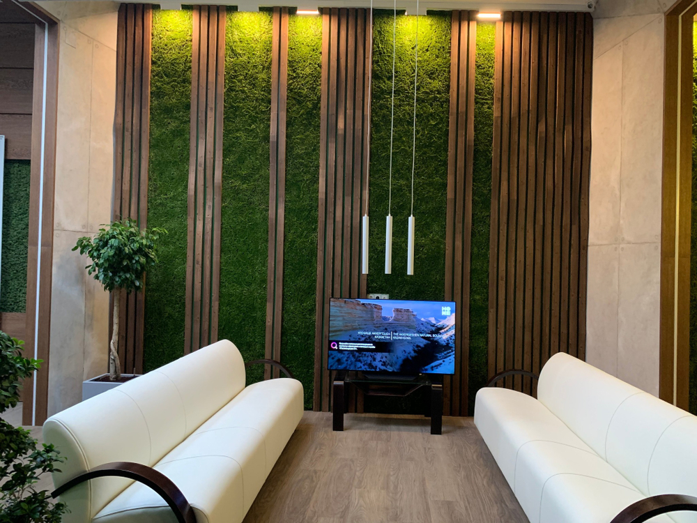 Комплексное озеленение офиса строительной компании "Стройкомплекс Group" г.Майкоп