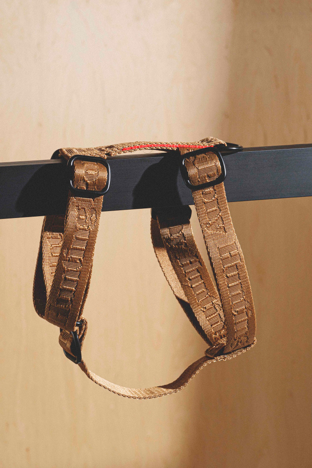 Шлейка "Пони-Компаньони" Рыжий