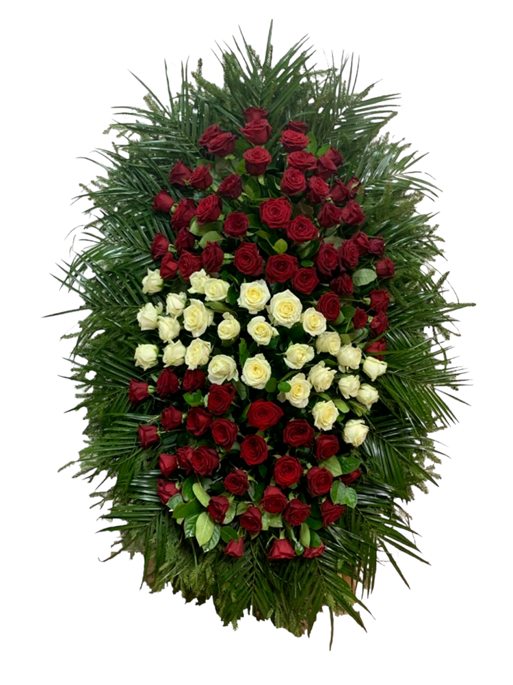 Траурный венок из живых роз красного и белого цвета (ВЖ-34) 180 см.