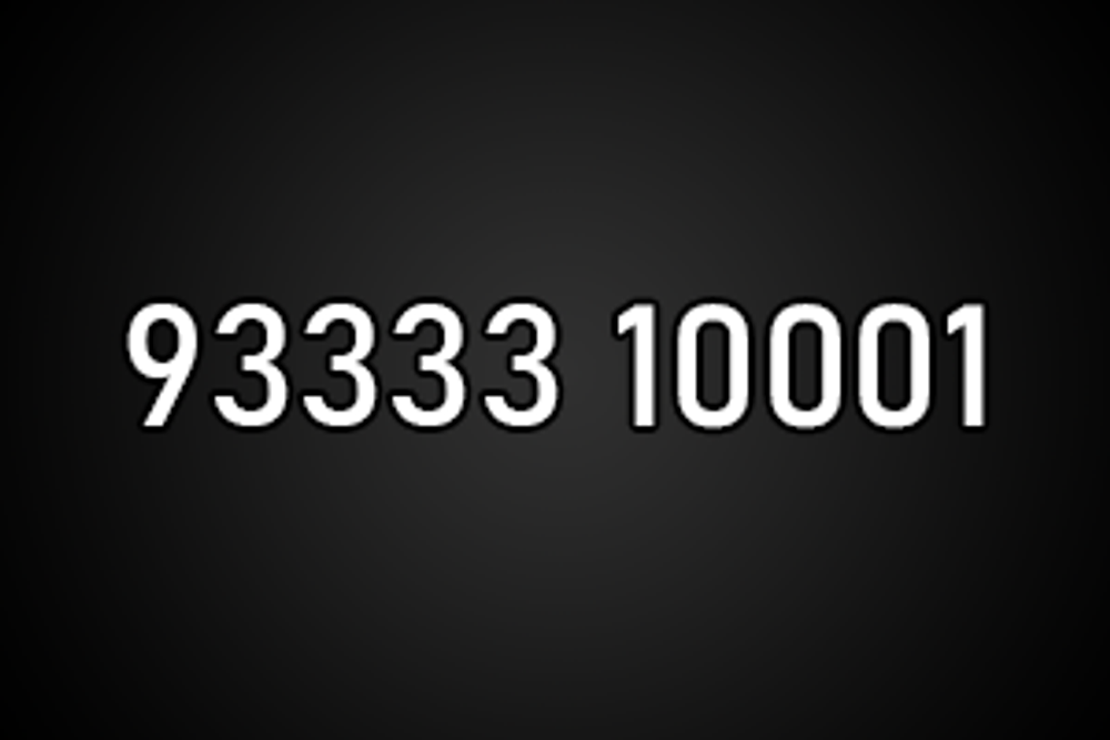 9333310001