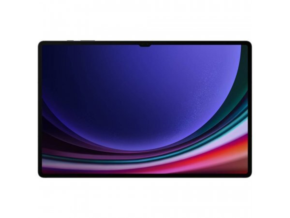 Планшет Samsung Galaxy Tab S9 Ultra SM-X910 12/512GB Gray