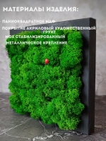 Панно из мха набор 3 шт.