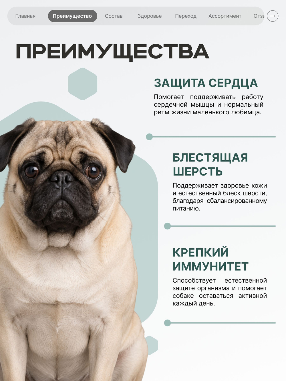 Корм для собак мелких пород SF Cardio Guard, (дилатационная кардиомиопатия), 6 кг, QUATTRO
