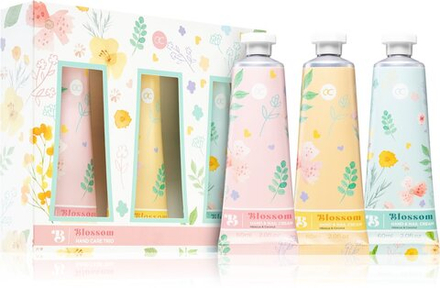 Accentra Blossom - Подарочный набор &quot;Гибискус и кокос&quot; (для рук) /   / GTIN 4015953672088