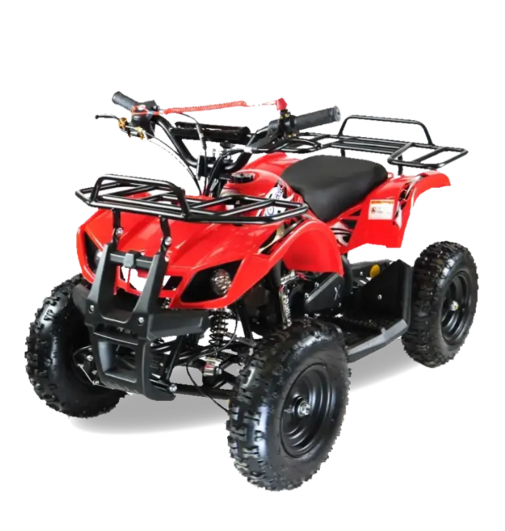 Квадроцикл MOTAX ATV Mini Grizlik X-16 (мех.)