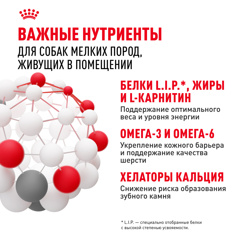 Royal Canin Mini Indoor Adult Мини Индор Эдалт Корм сухой для взрослых собак мелких пород в возрасте от 10 месяцев живущих в помещении 3кг