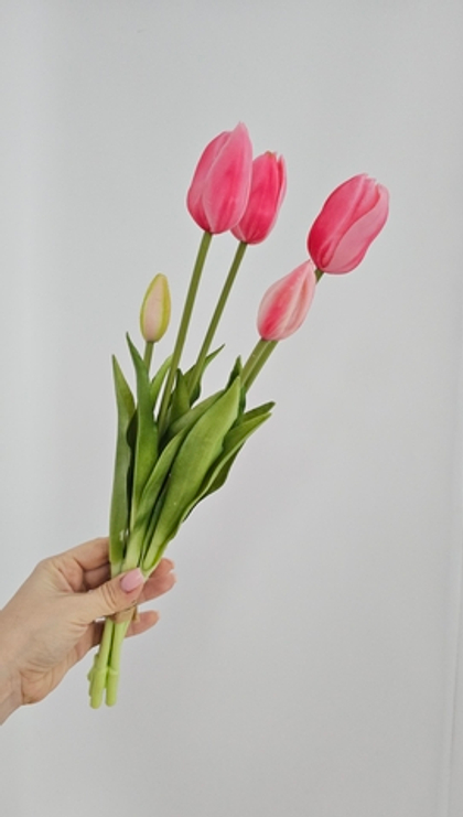 Тюльпаны закрытые / Арт 2456