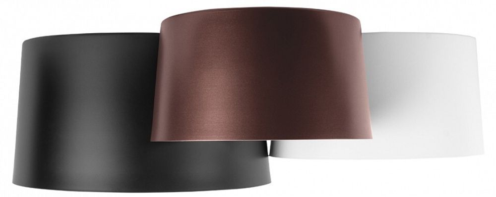 Потолочная люстра Loft it Duo 10360/3