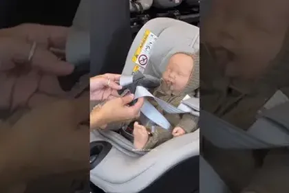 Полный обзор автокресла Britax Römer Dualfix Pro M Lux