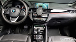 BMW X1 (F48) xDrive 20i xLine (10.2021)