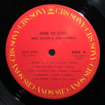 Schon & Hammer / Here To Stay (LP)