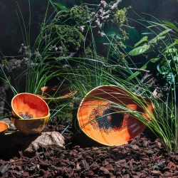 Тарелка десертная Bordallo Pinheiro Tropical Fruits Papaya (21 см)