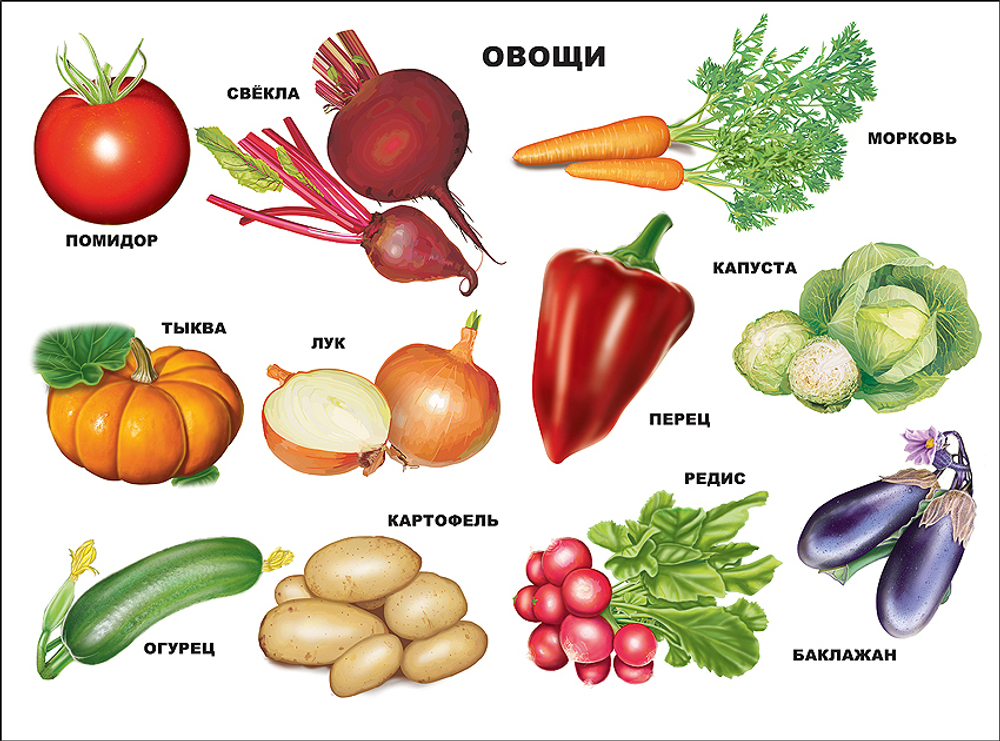 Плакат " Овощи "