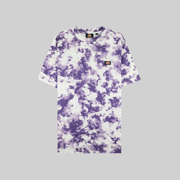 Футболка мужская Dickies Sunburg артикул:DK0A4X9PB651 - купить в магазине Дайс