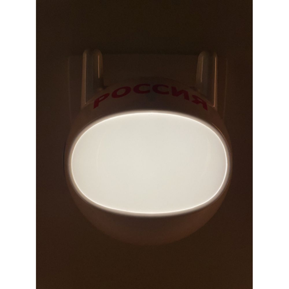 Ночник - светильник светодиодный ЭРА NN-604-LS-W в розетку с датчиком освещенности белый | Ночники