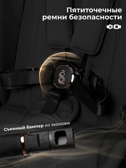 Детская коляска Sweet Baby Elegante Therma SBL 2 в 1 Black