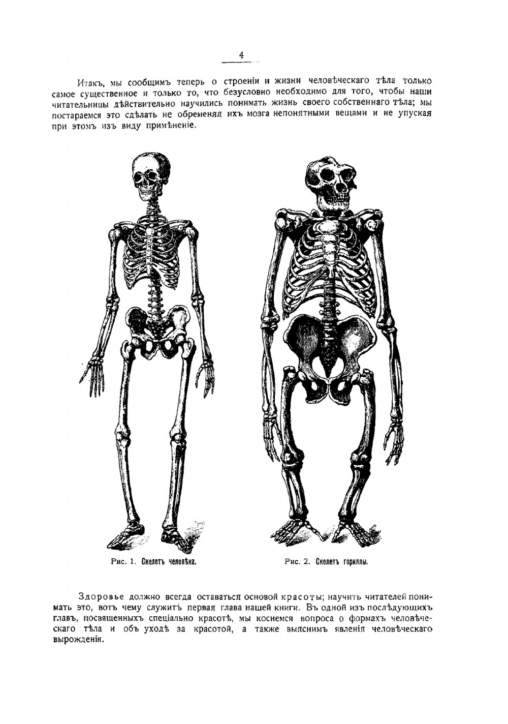 Женщина как домашний врач | Фишер-Дюкельман Анна