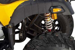 Квадроцикл RAPTOR MAX PRO 250 (жёлтый/чёрный)