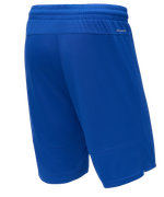 Шорты баскетбольные PerformDry Division Star, синий