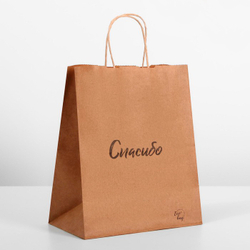 Крафт пакет "Спасибо", 240 х 140 х 290 мм, с крученными ручками