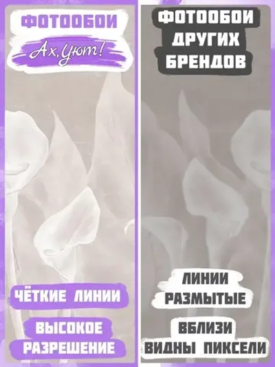 400х270 Фотообои белые цветы и листья на бежевой стене