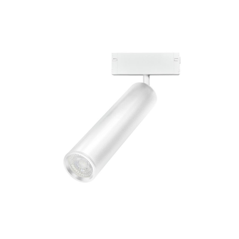 Магнитный трековый светильник Aployt Magnetic track 220 APL.0210.11.01