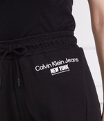 спортивные штаны CALVIN KLEIN JEANS - черный(J20J221052)