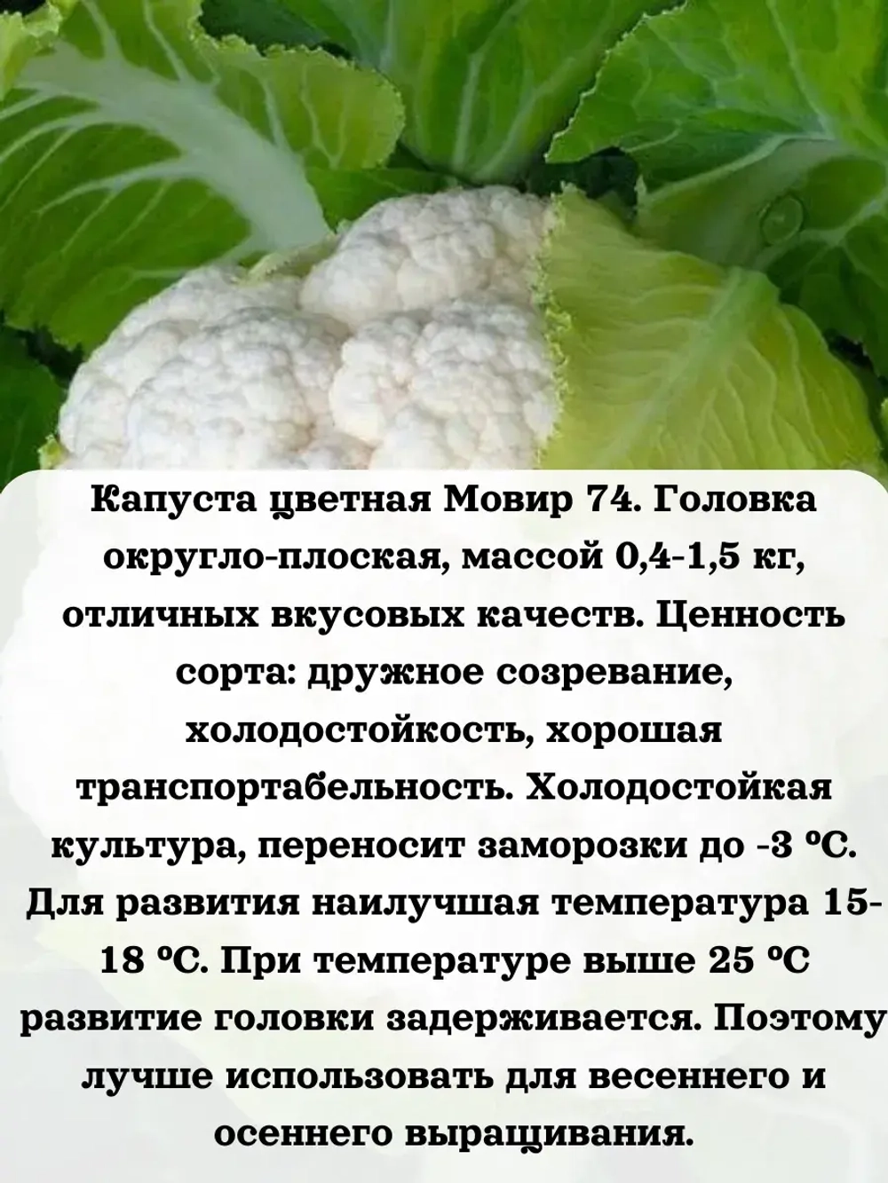Семена Капуста цветная Мовир 74 0.3 гр
