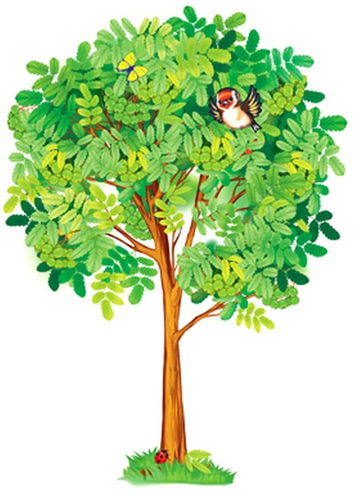 Плакат вырубной А2. Рябина летняя (с уф-лаком) - тема Деревья