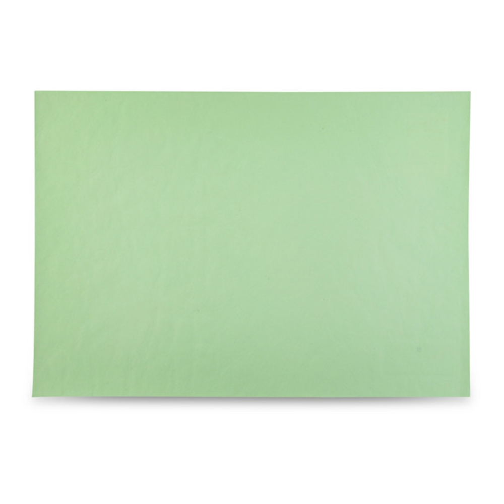 Салфетка подстановочная 30х43см двухсторонняя Rasteli зеленая