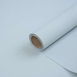 Пленка Фаворит 50см*10м СВЕТЛАЯ